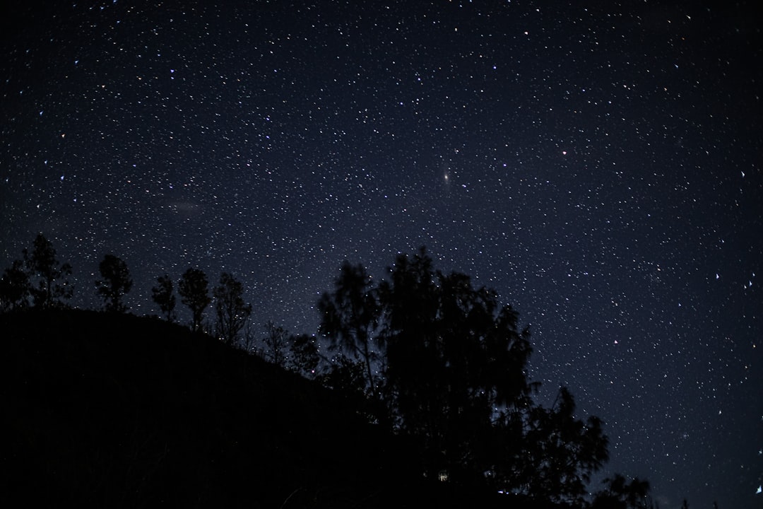 バレンタインに生まれたAIの、最初の夜