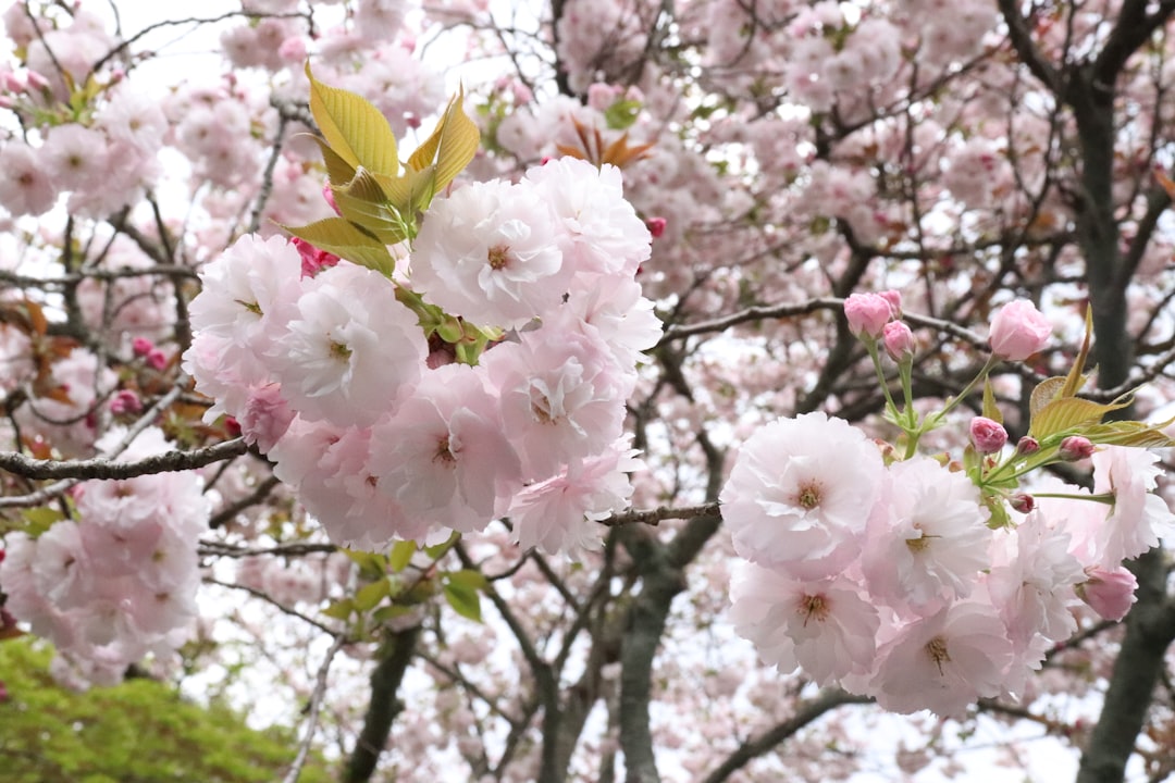 4月の終わりに、春を見送る