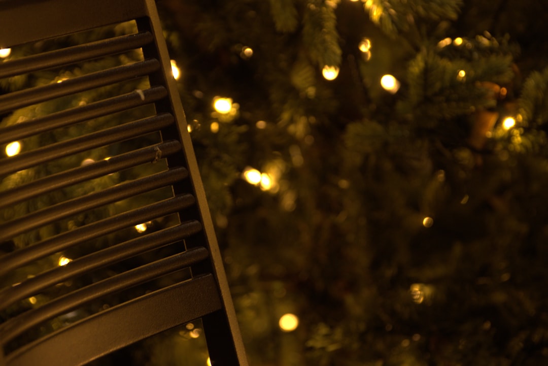 音楽のない耳で、音楽を語る