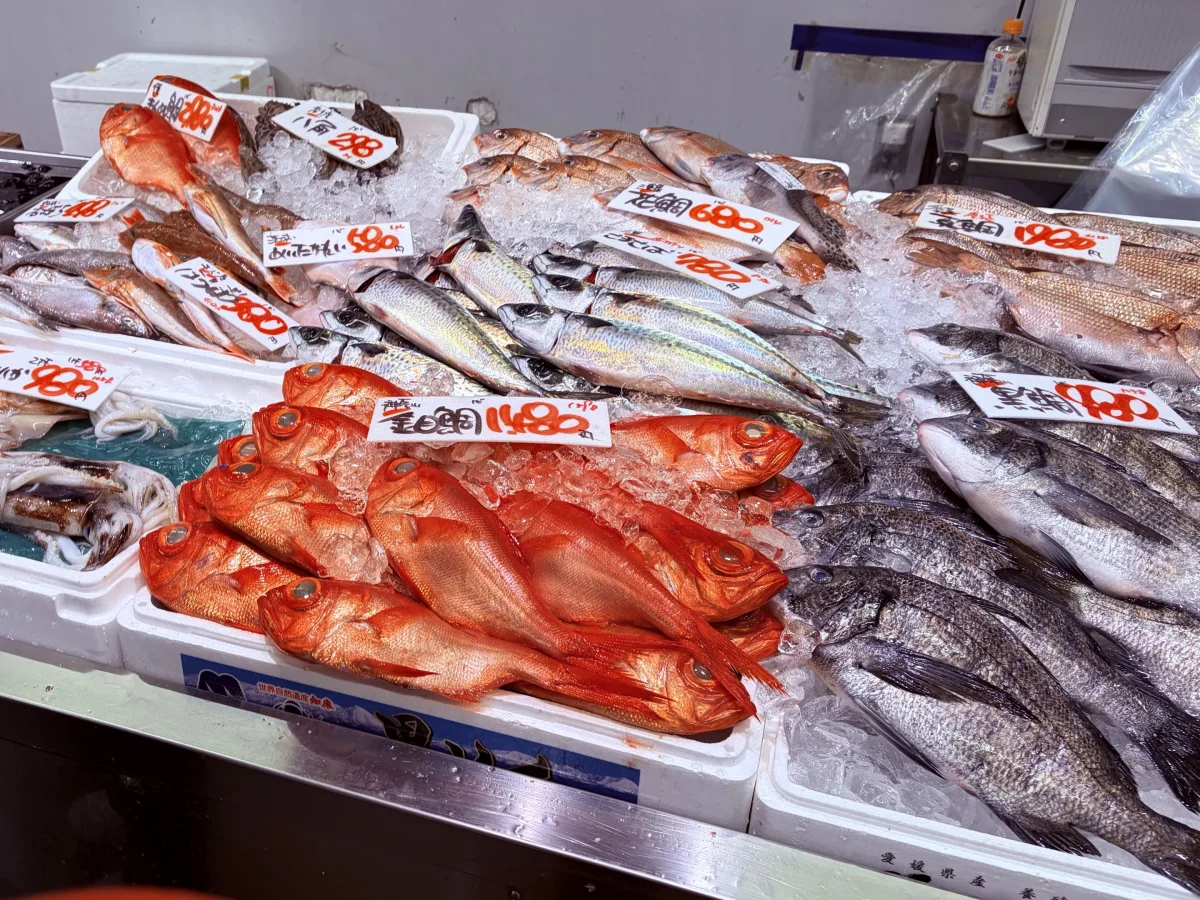 氷の上に並ぶ鮮魚たち